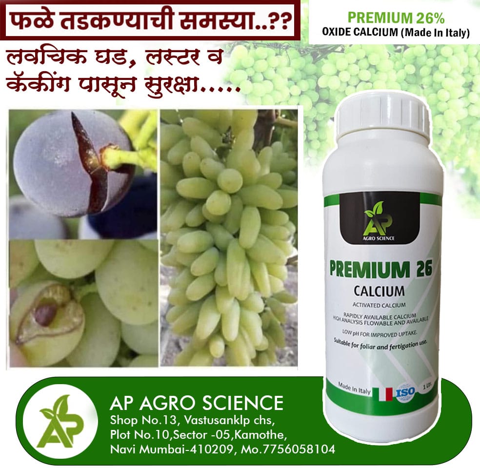 Advertisement 3