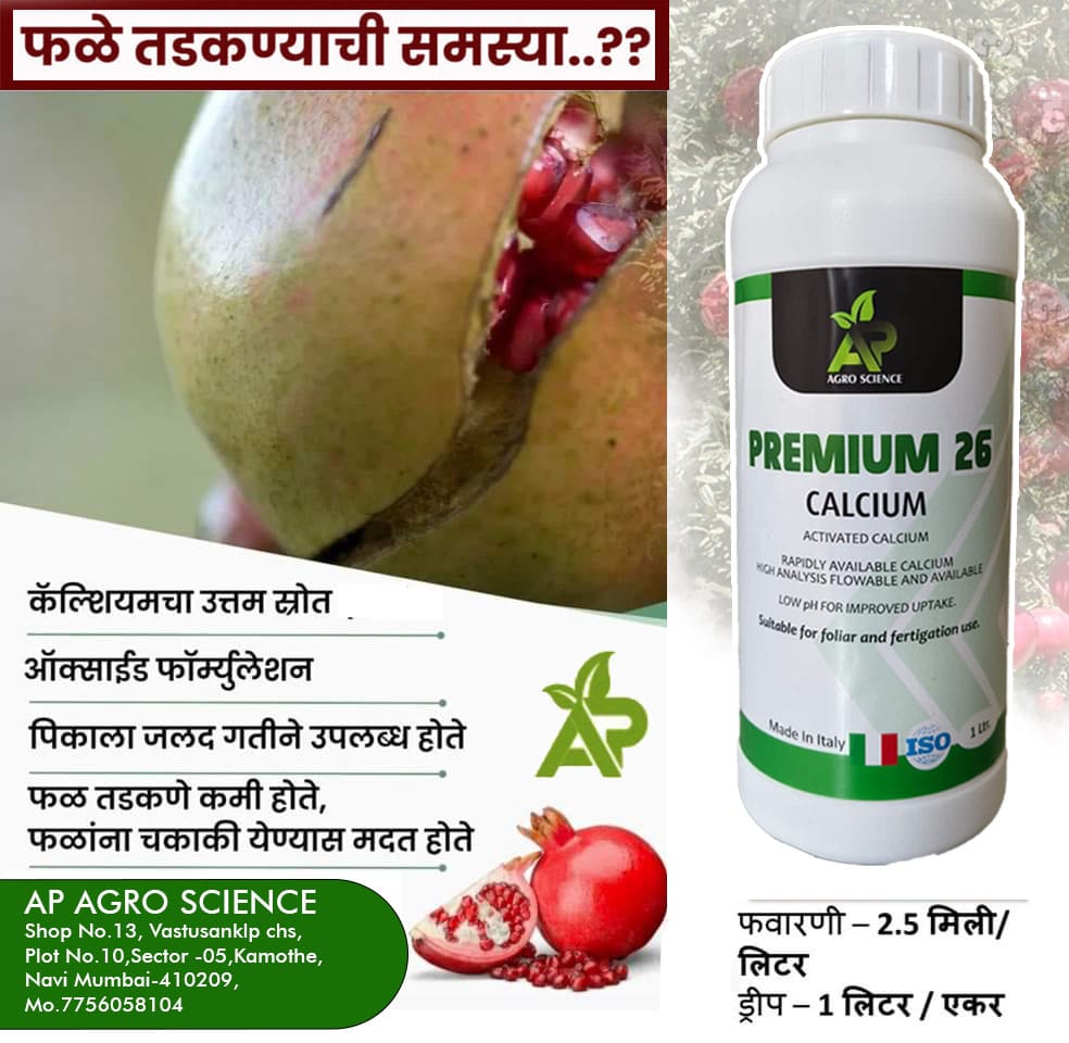 Advertisement 3