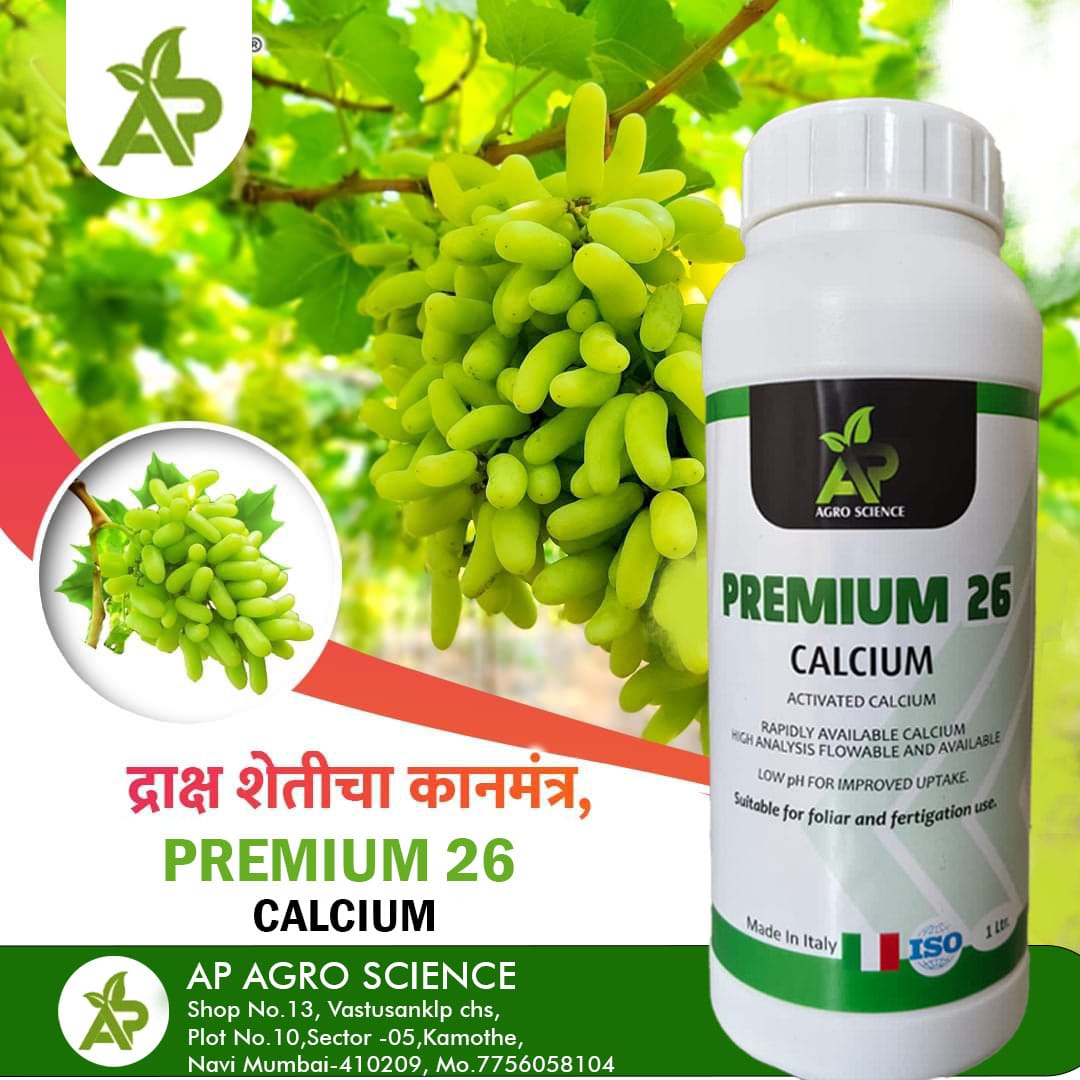 Advertisement 3
